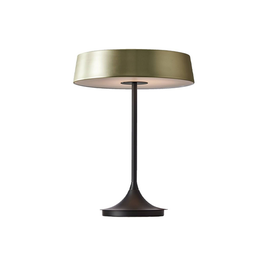 CHINA LED Table Lamp
